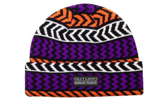 WR X AUTUMN CHEVRON BEANIE